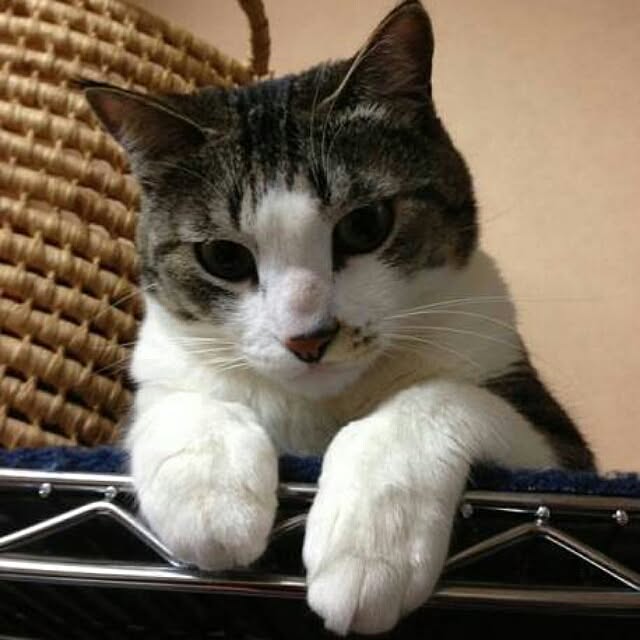 asianoneさんの実例写真
