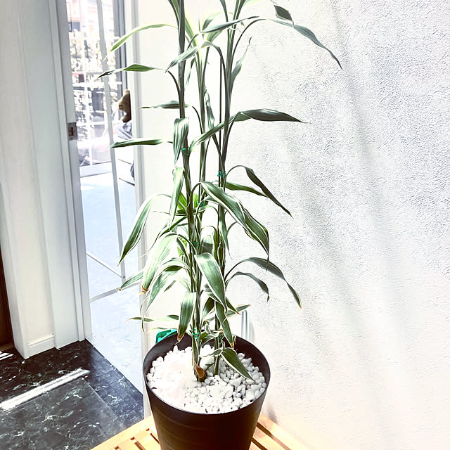 MOMOMAMAさんの部屋