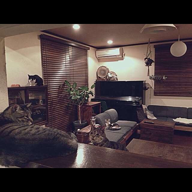 jnkaiさんの実例写真