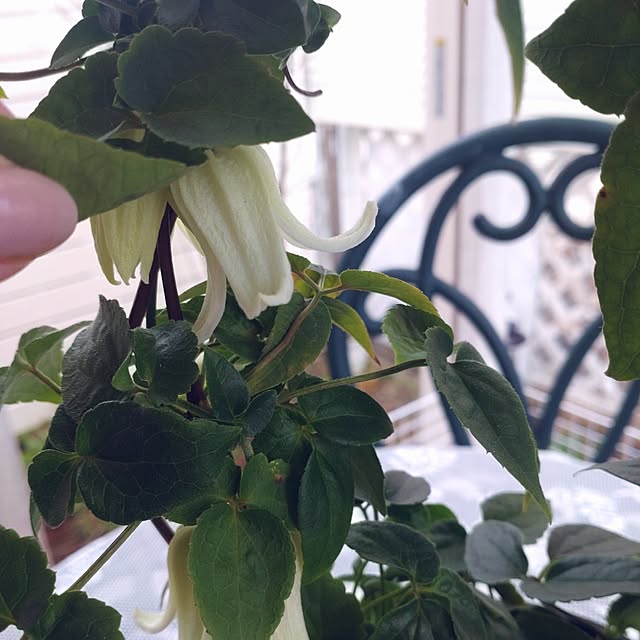 Bienvenueさんの部屋