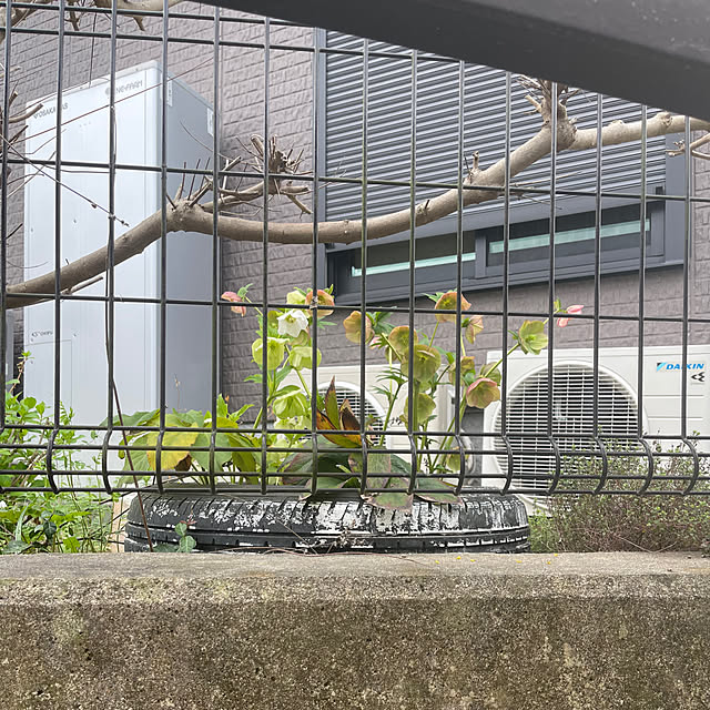 kikiさんの実例写真