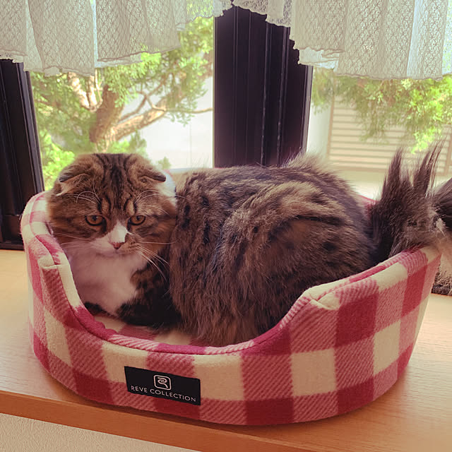 k.kさんの実例写真