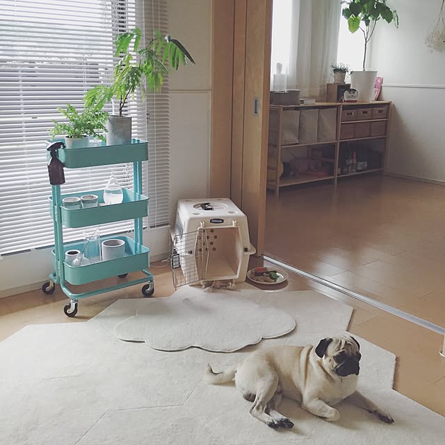 YUIさんの実例写真