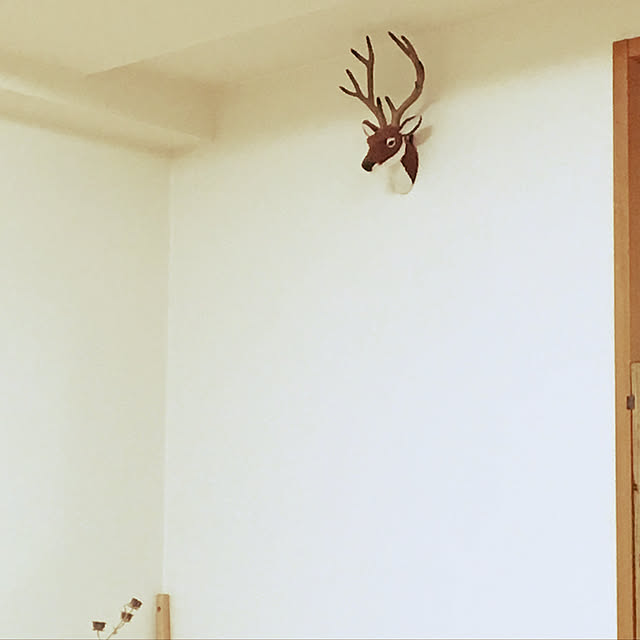 haru._.hanaさんの実例写真