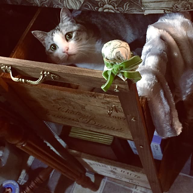 emmyyさんの実例写真
