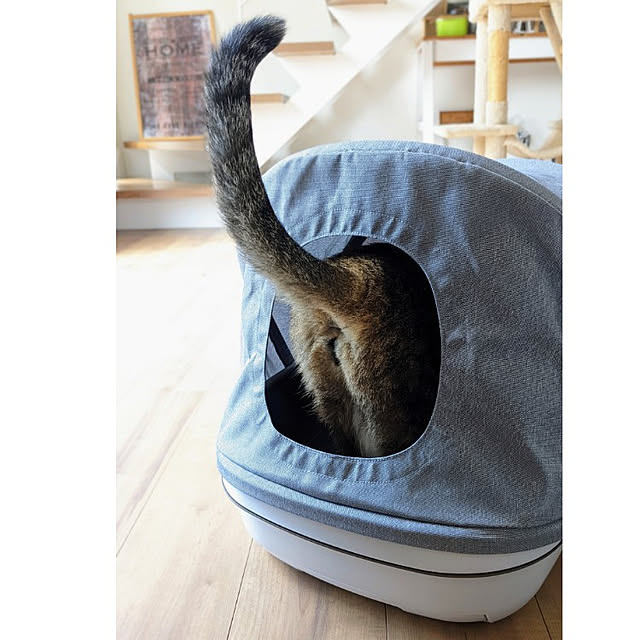 mamimamipockyさんの実例写真