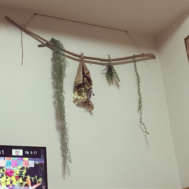 akhyさんの実例写真