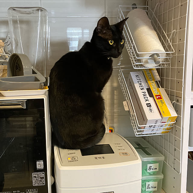 suemonta14さんの実例写真