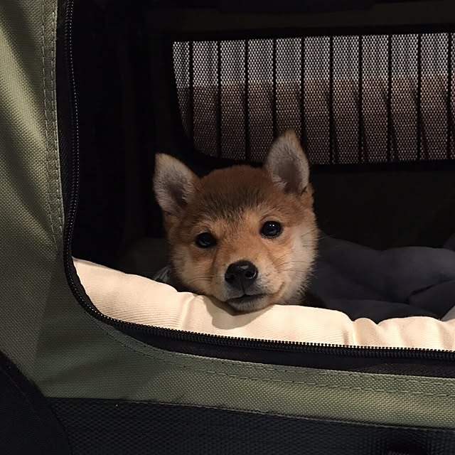 Minamiさんの実例写真