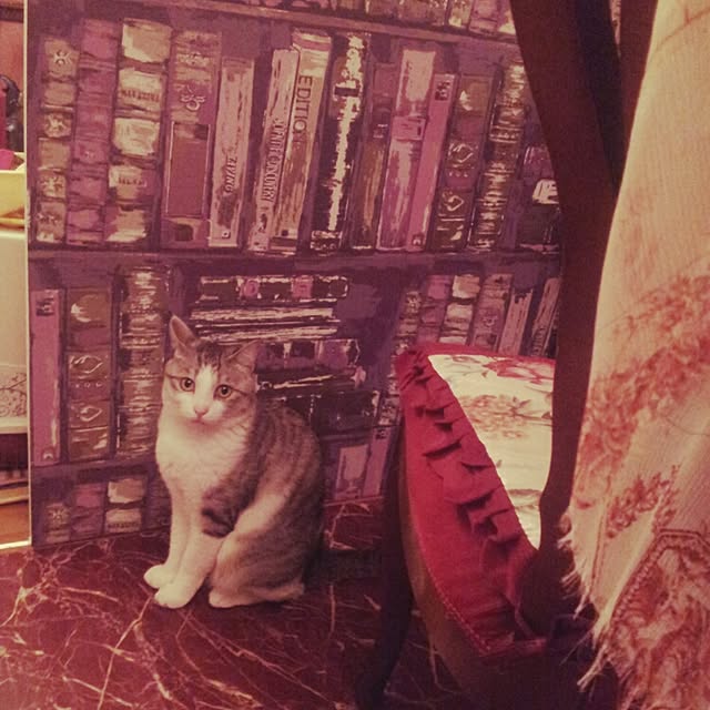 emmyyさんの実例写真