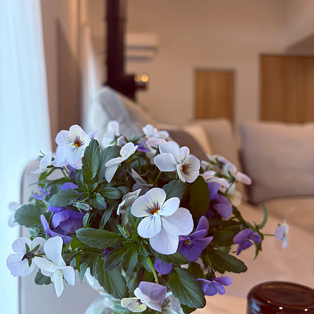 tokimaさんの部屋