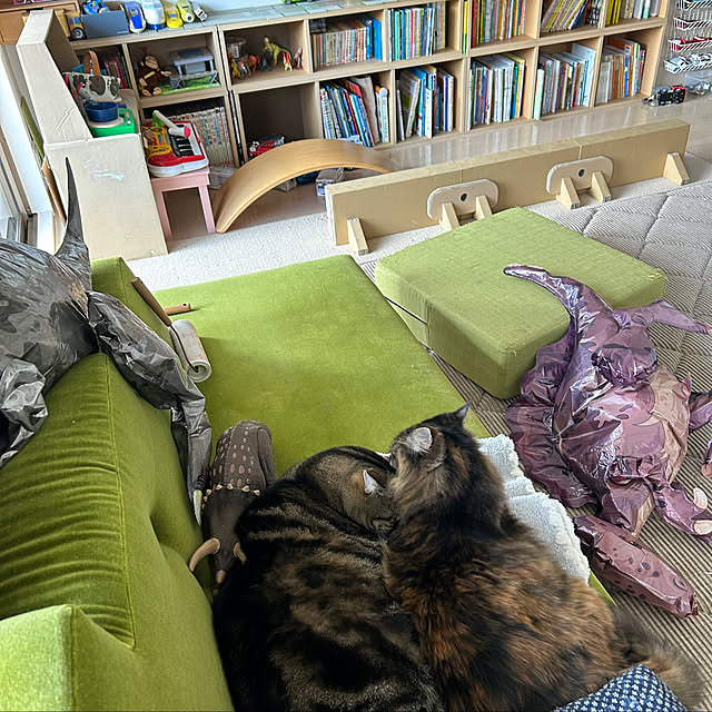 mikomaruさんの実例写真
