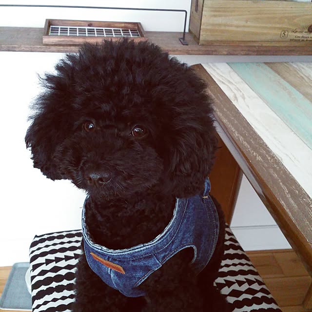 tomoppさんの実例写真