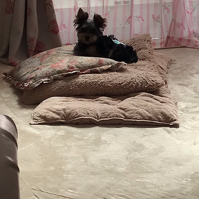 marikoさんの実例写真