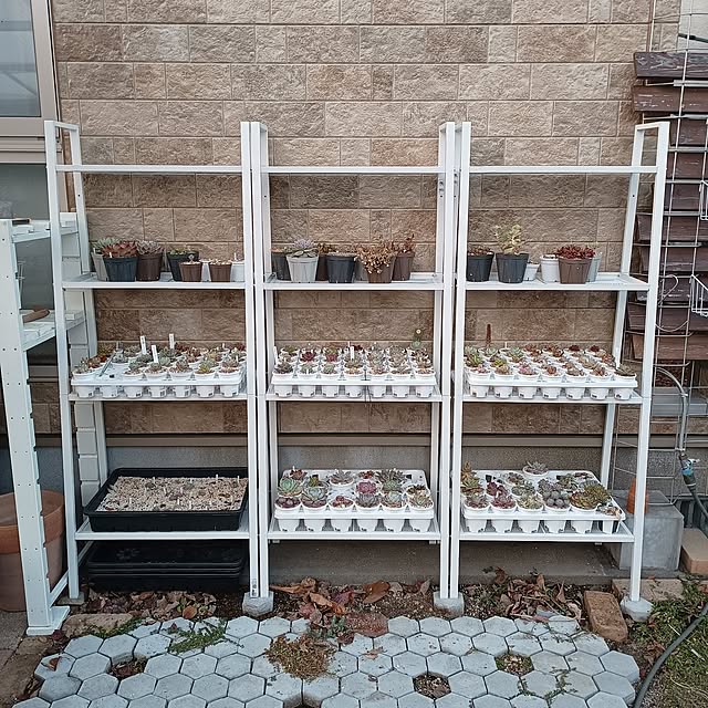 soyokoさんの実例写真