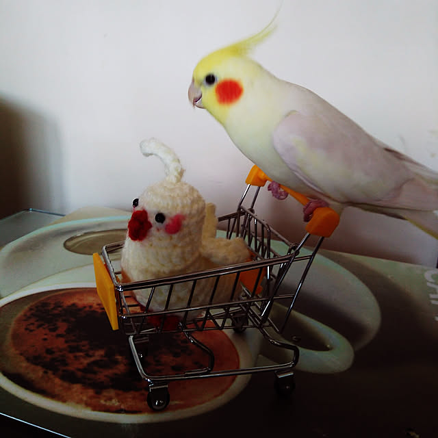 toratanさんの実例写真