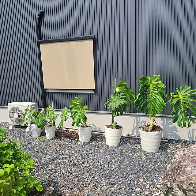 Rubiconさんの部屋