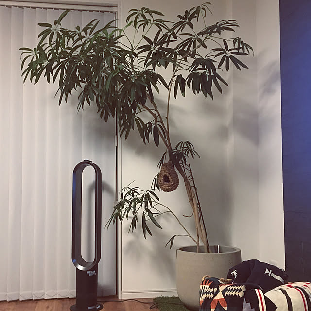 m.tさんの実例写真
