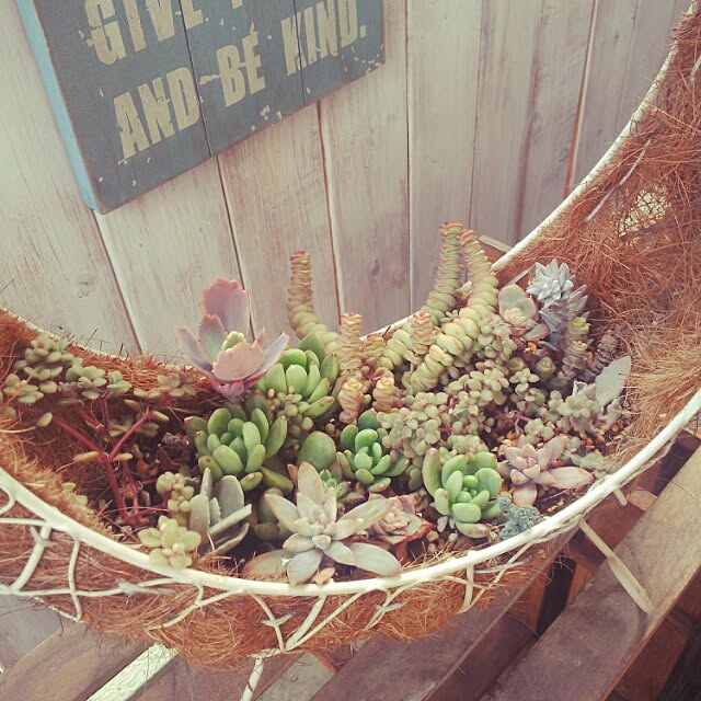 kaochanさんの実例写真