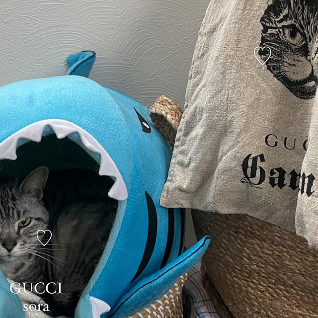 yoshirinさんの実例写真