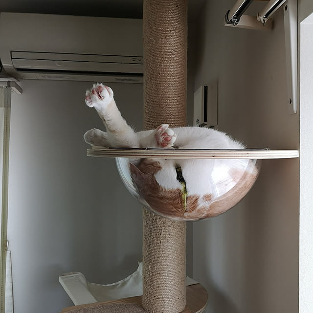 koyurizuさんの実例写真