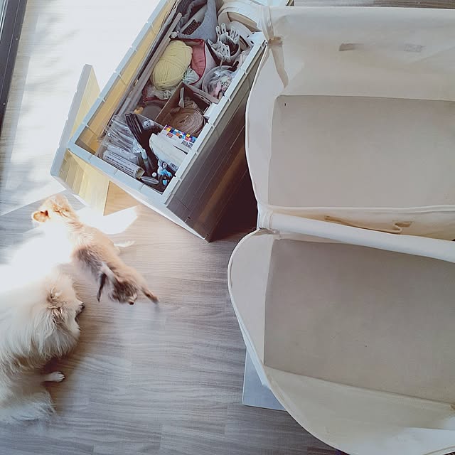 noahさんの実例写真