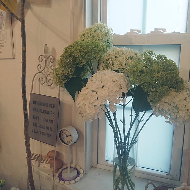 ptanatan5さんの実例写真