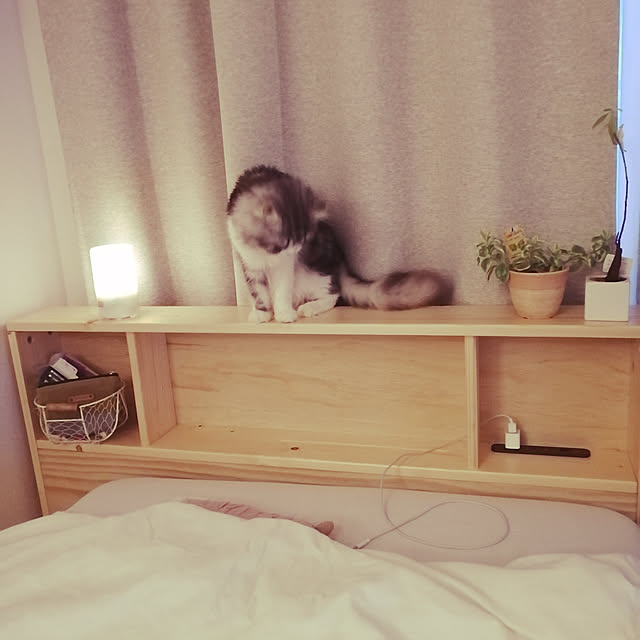 mugiさんの実例写真