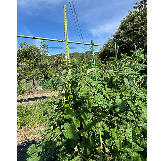cotaさんの部屋