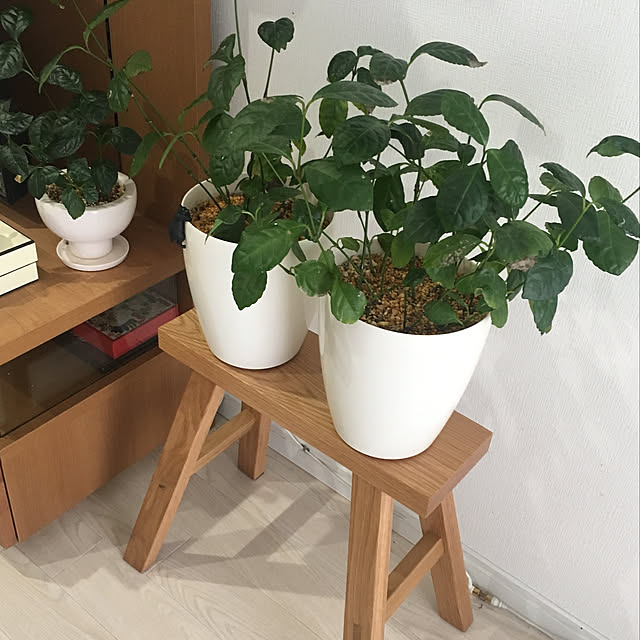 Hirokoさんの実例写真