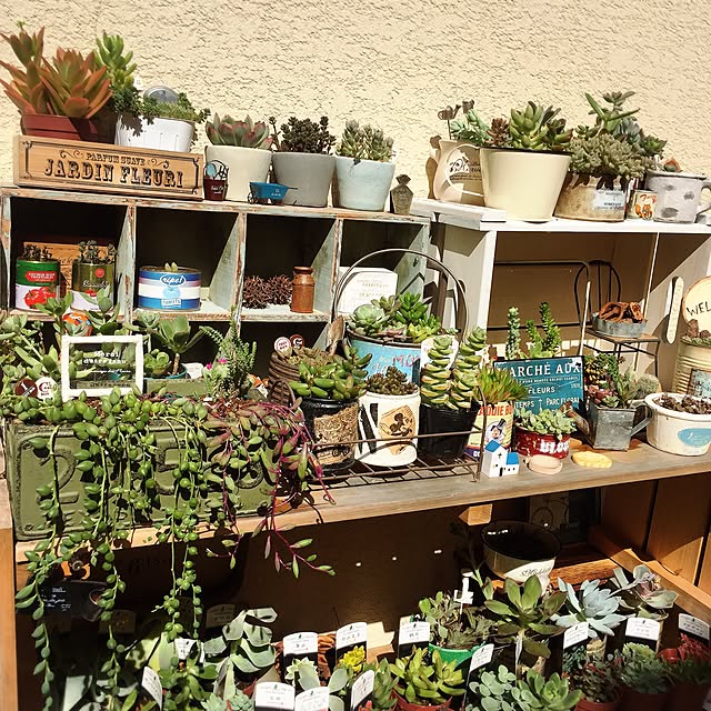 MAKIさんの実例写真