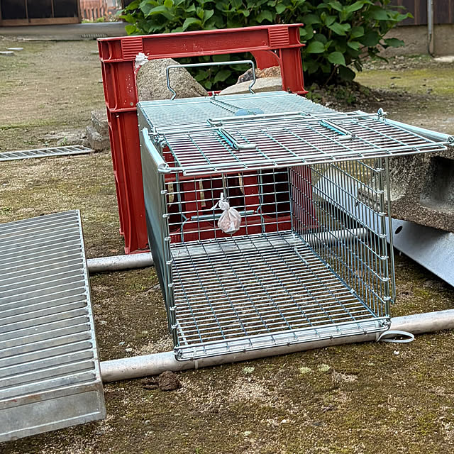 cotaさんの部屋