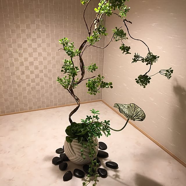 Osara_chanさんの実例写真