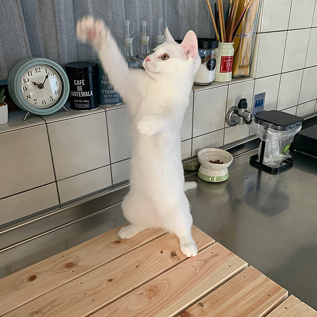 keiさんの実例写真
