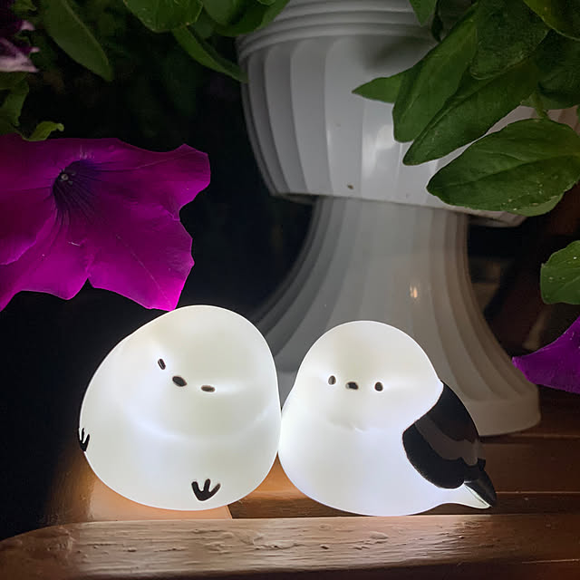 Aqettyさんの部屋