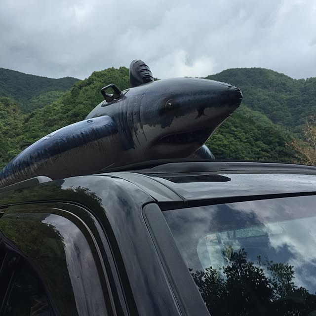 実例写真