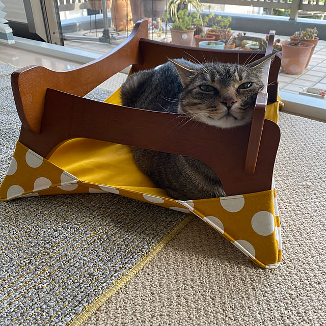 mikomaruさんの実例写真