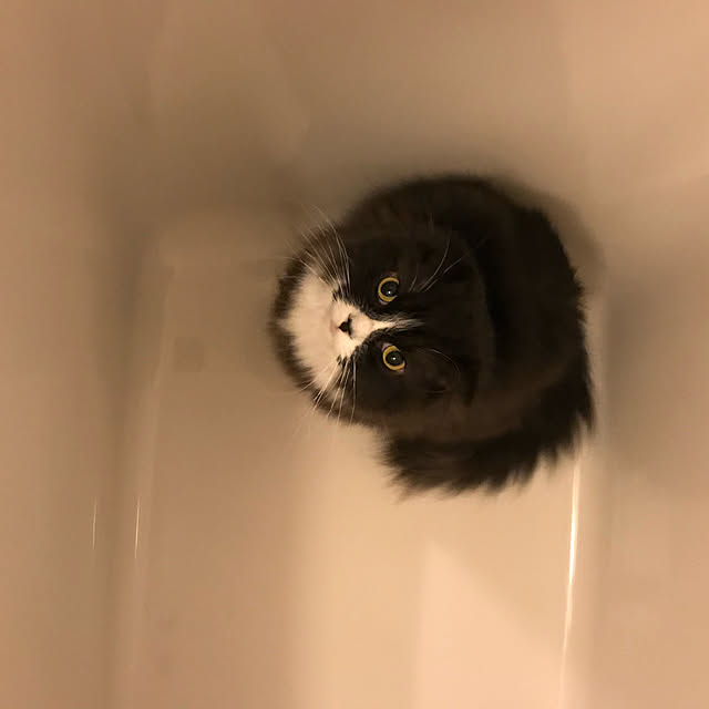 mecchaさんの実例写真