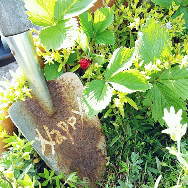 Chomeakiさんの実例写真
