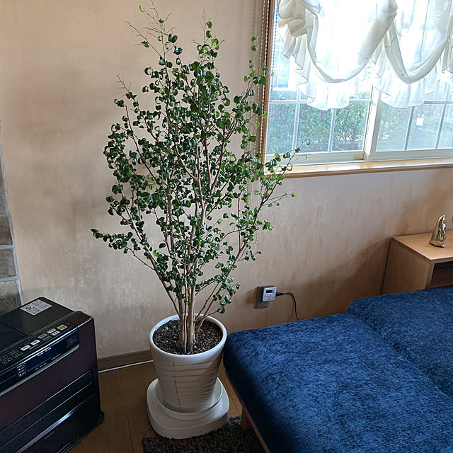 mama_sanさんの実例写真