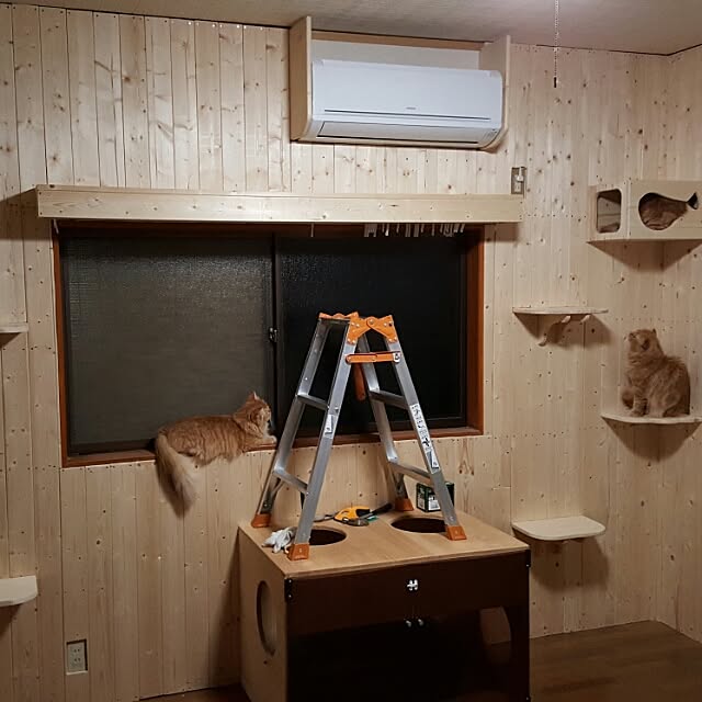 coconekoさんの実例写真