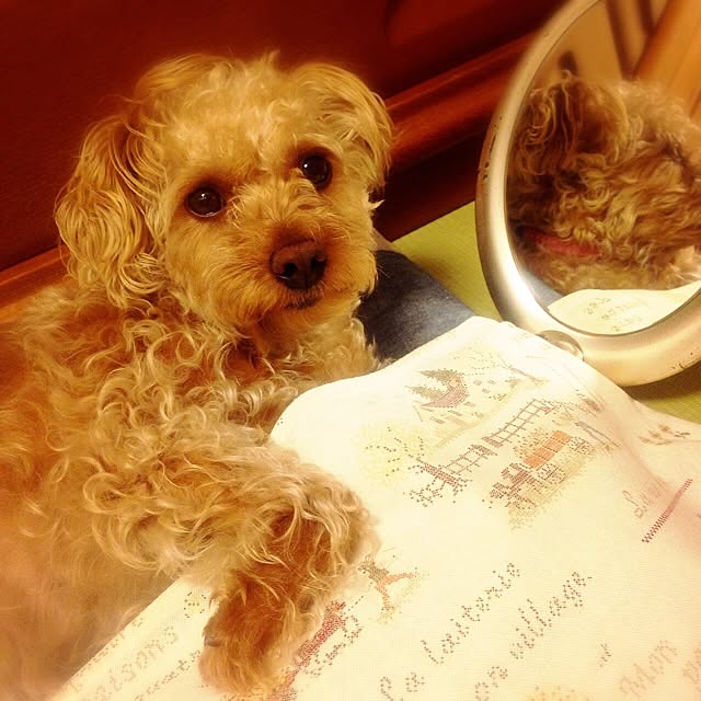 yさんの実例写真
