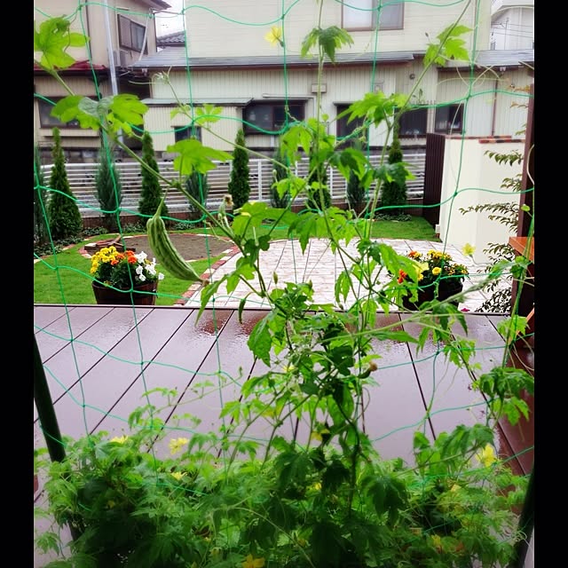 TOMOBINさんの実例写真