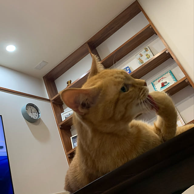 mikeume7さんの実例写真