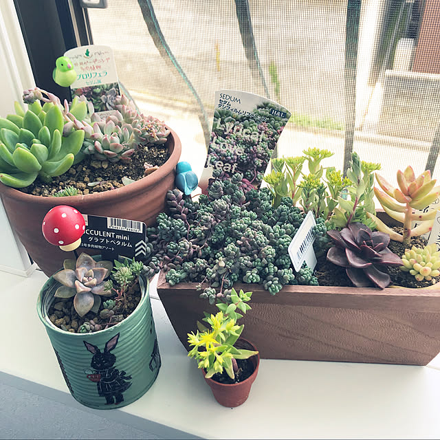 Hatsuneさんの実例写真