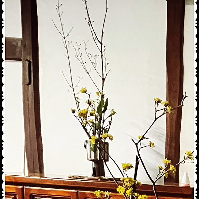 cota2さんの部屋