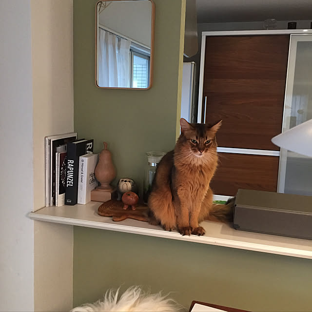 shihoさんの実例写真