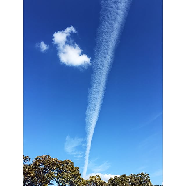 akaneさんの実例写真