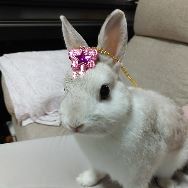 mutsuさんの実例写真
