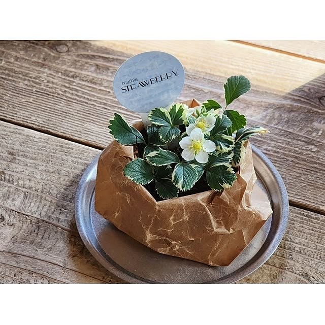 chiii13さんの実例写真